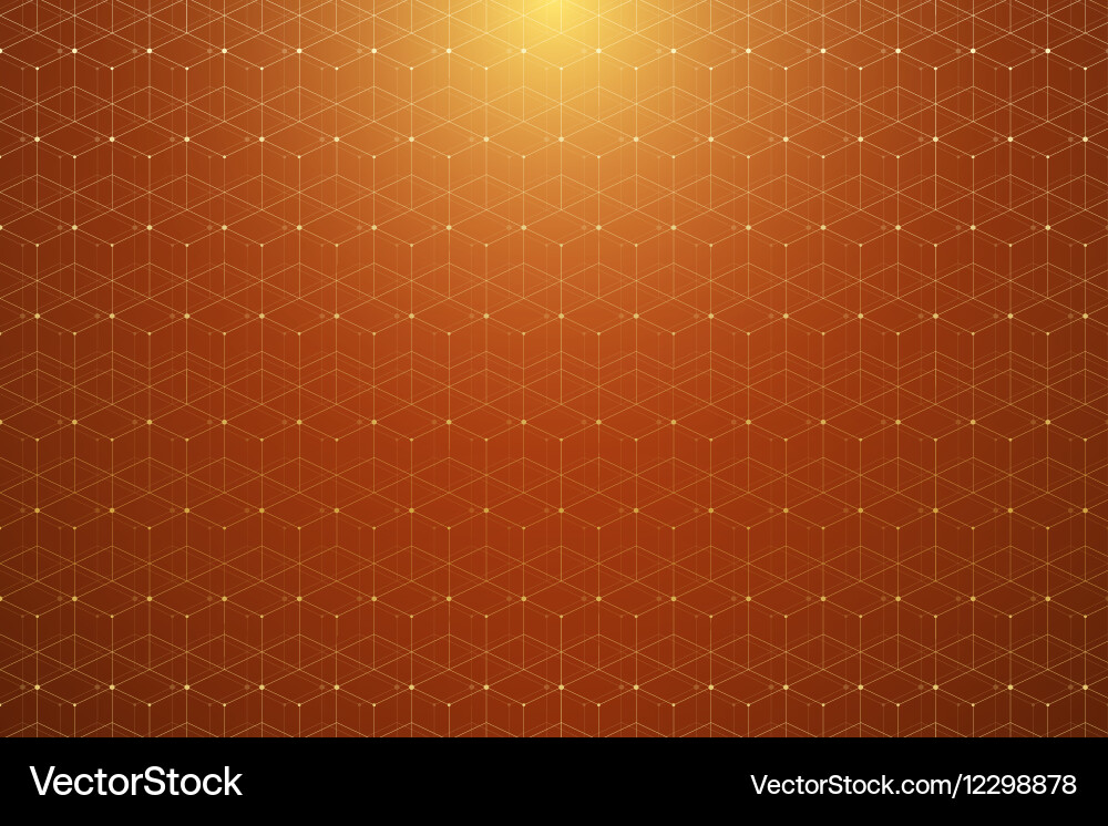 Geometric pattern with connected lines and dots vector image