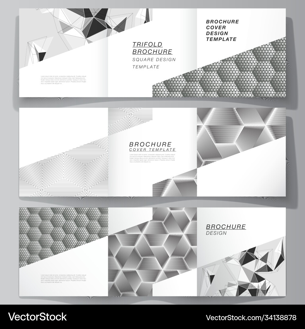Minimal editable layout square format Vector Image