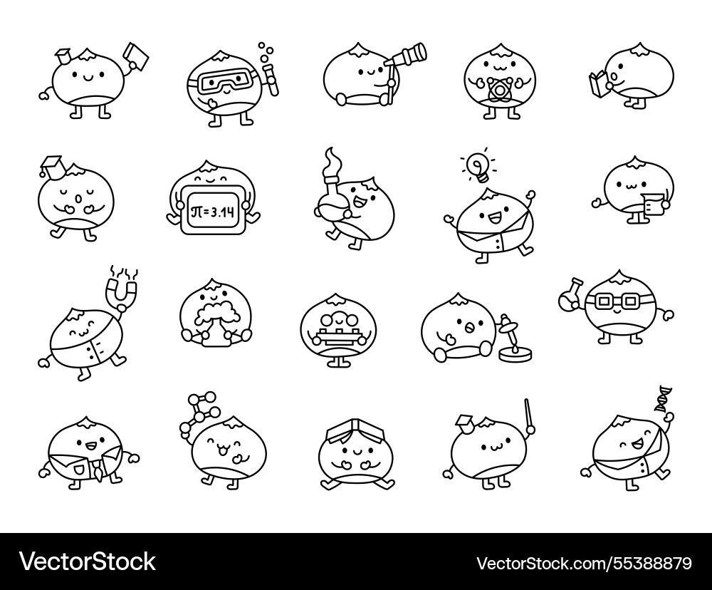 Chestnut science experiments set Chestnut science experiments set vector image