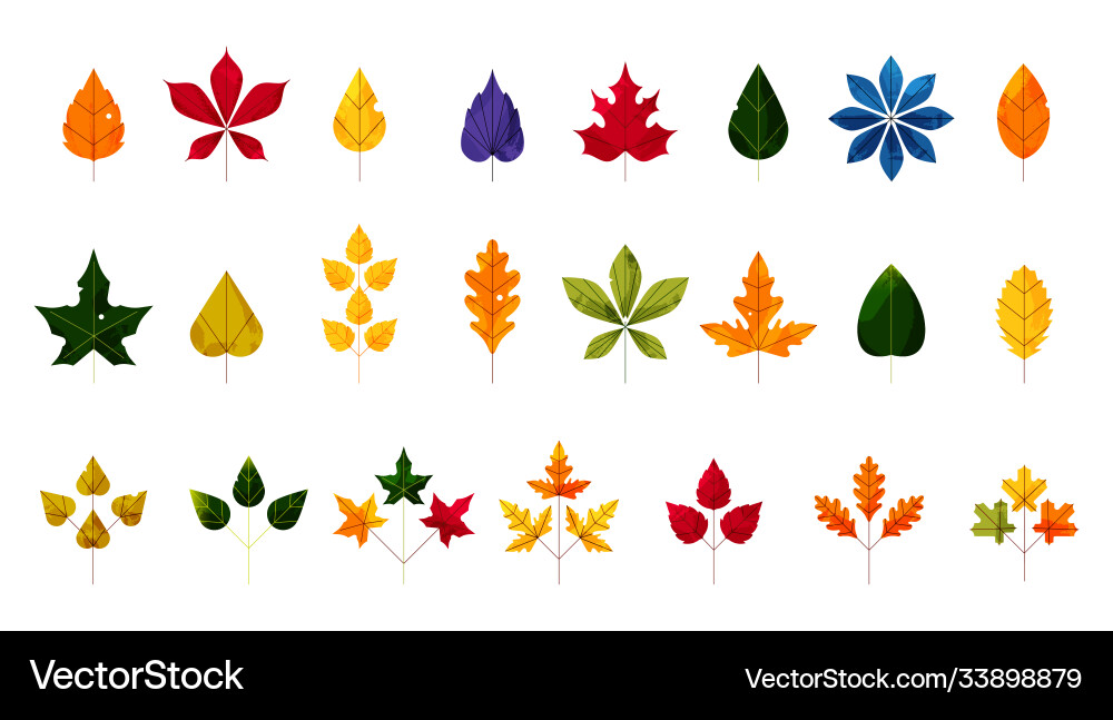 Herbst und Herbst Blätter bunten Blattset Herbst und Herbst Blätter bunten Blattset vektorbild