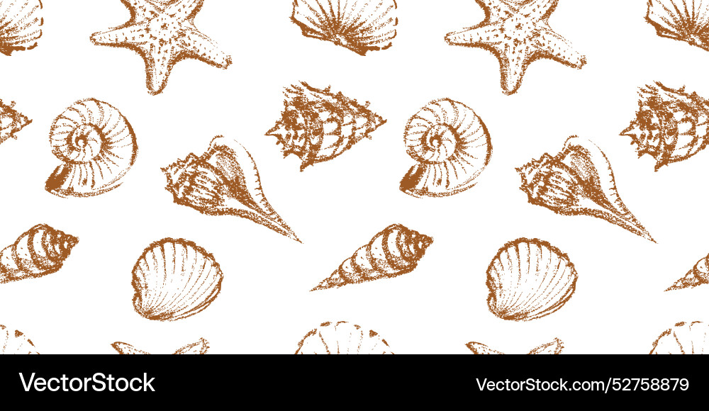 Seamless pattern of seashells various textured vector image