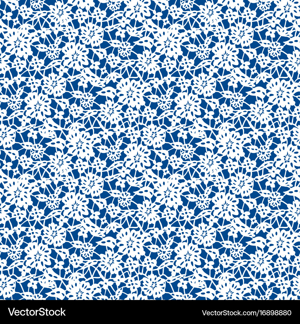 Delicate White Lace Pattern Royalty Free Vector Image