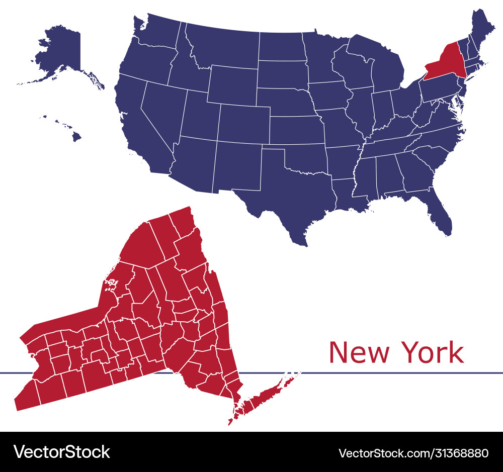 New york map counties with usa New york map counties with usa vector image