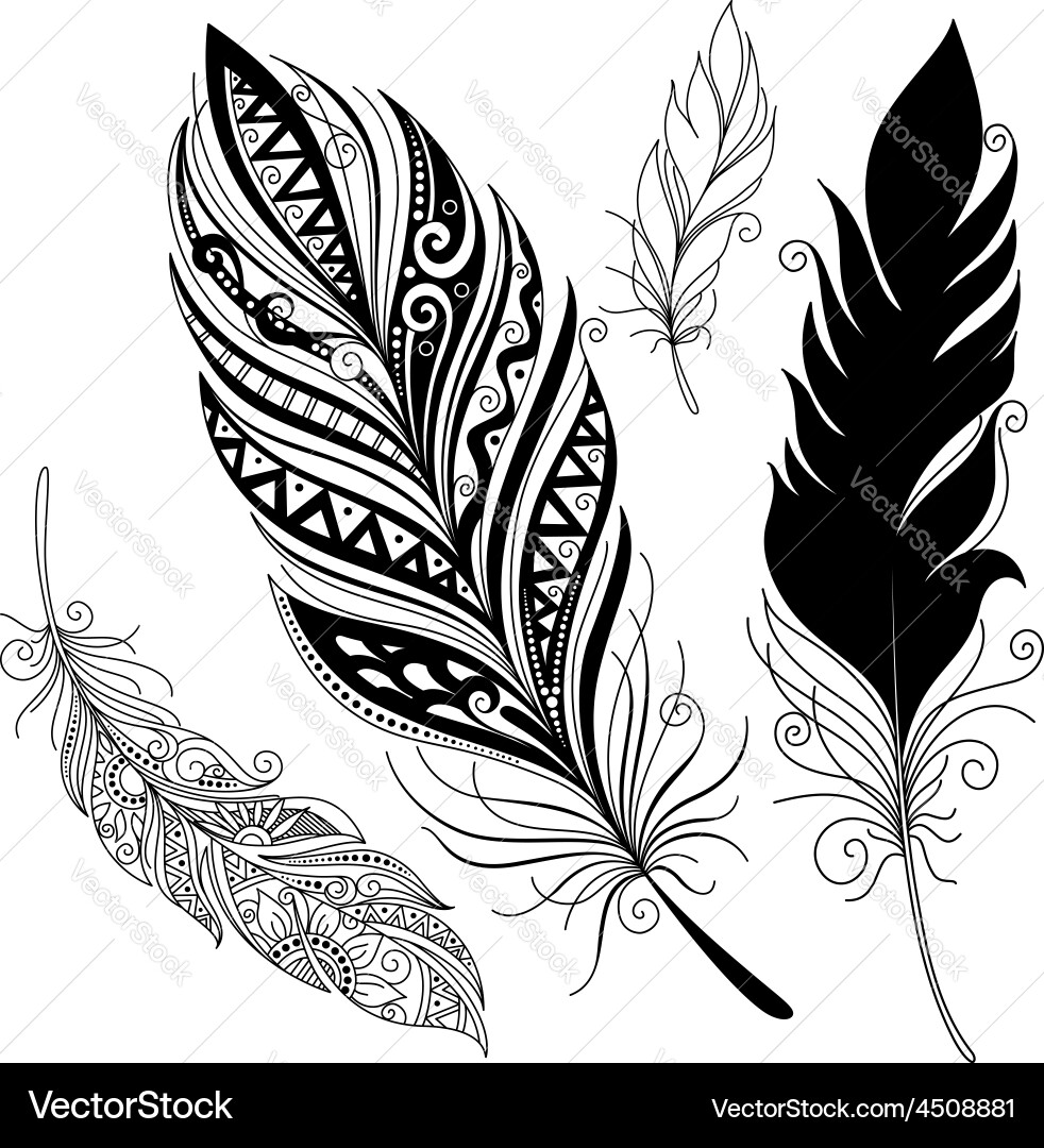 Intricate Feather Motif Vektorbild