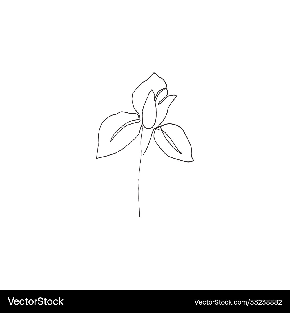 Simple continuous line art design vector image