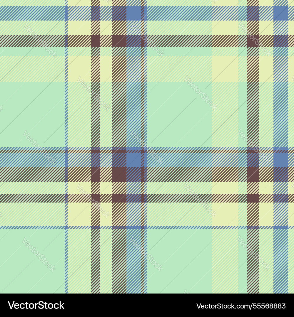 Pastel plaid pattern soft calming colors create vector image