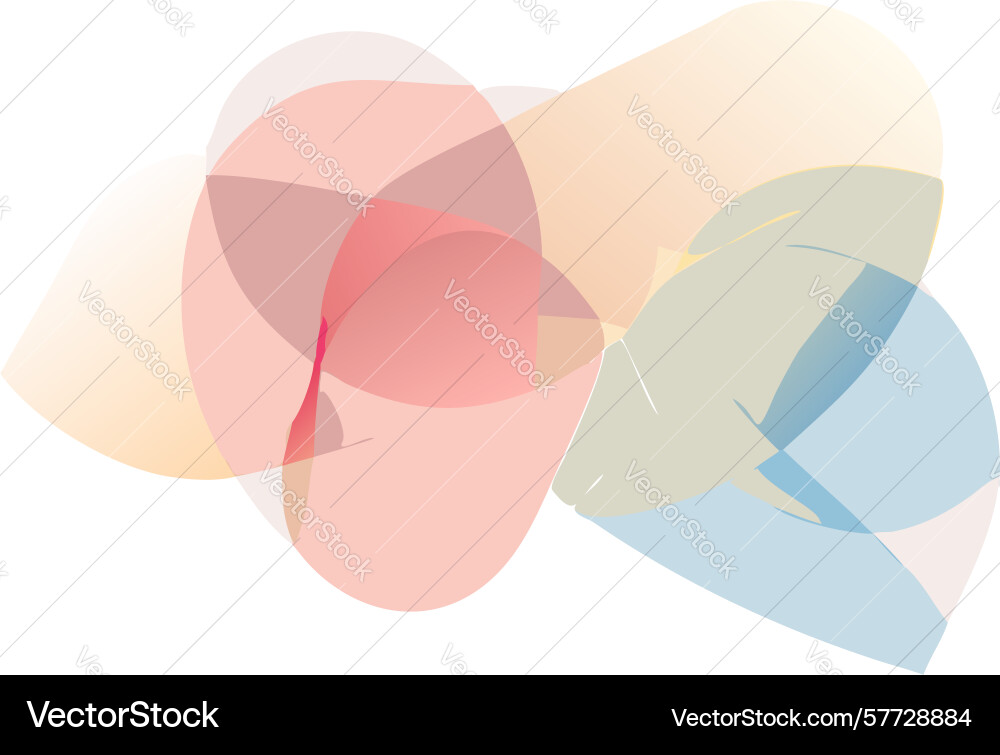 Dynamic basketball player on wavy lines design Vector Image