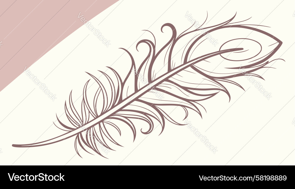 Intricate Feather Pattern Vector Image