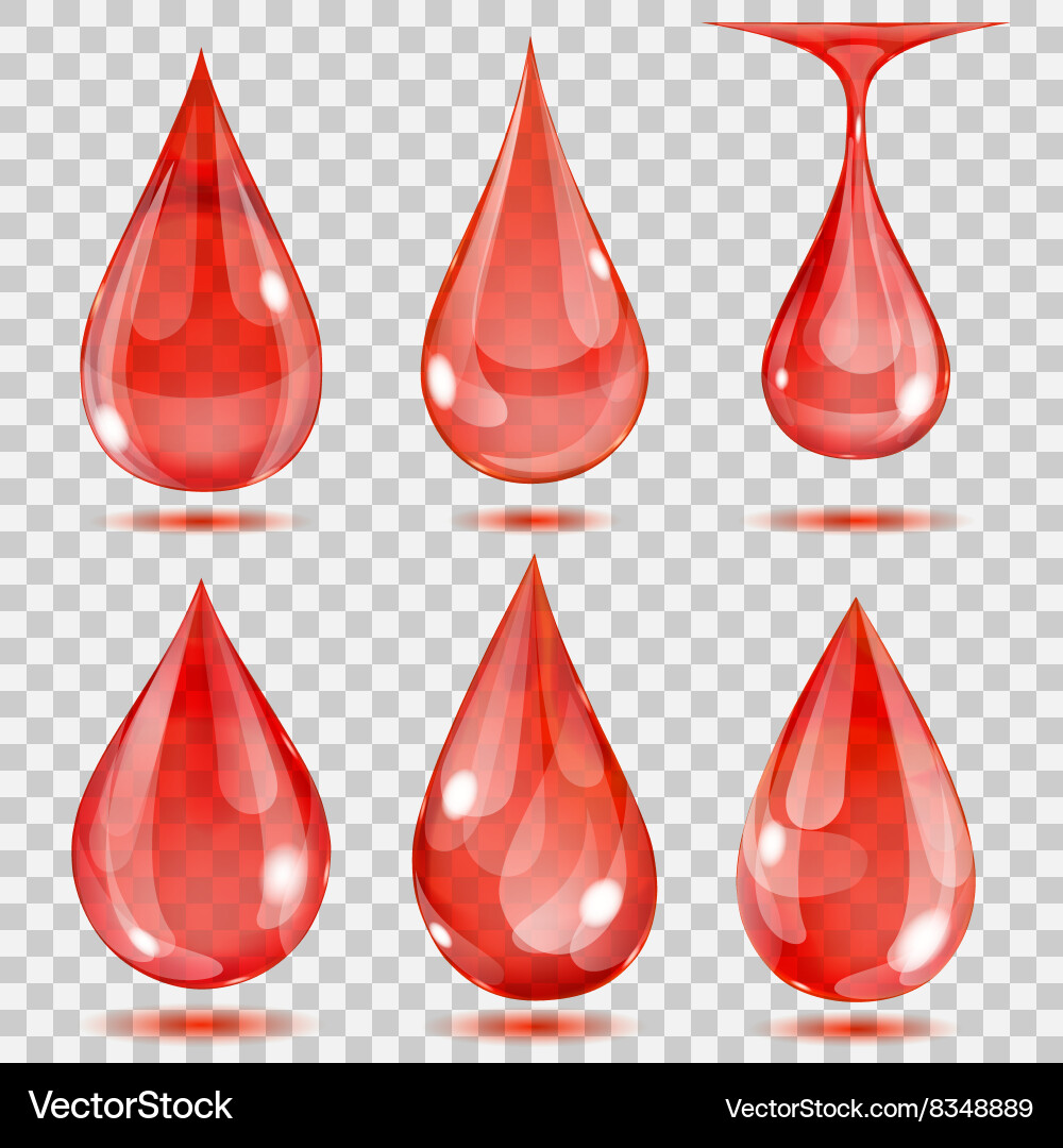 Set of transparent drops Vector Image