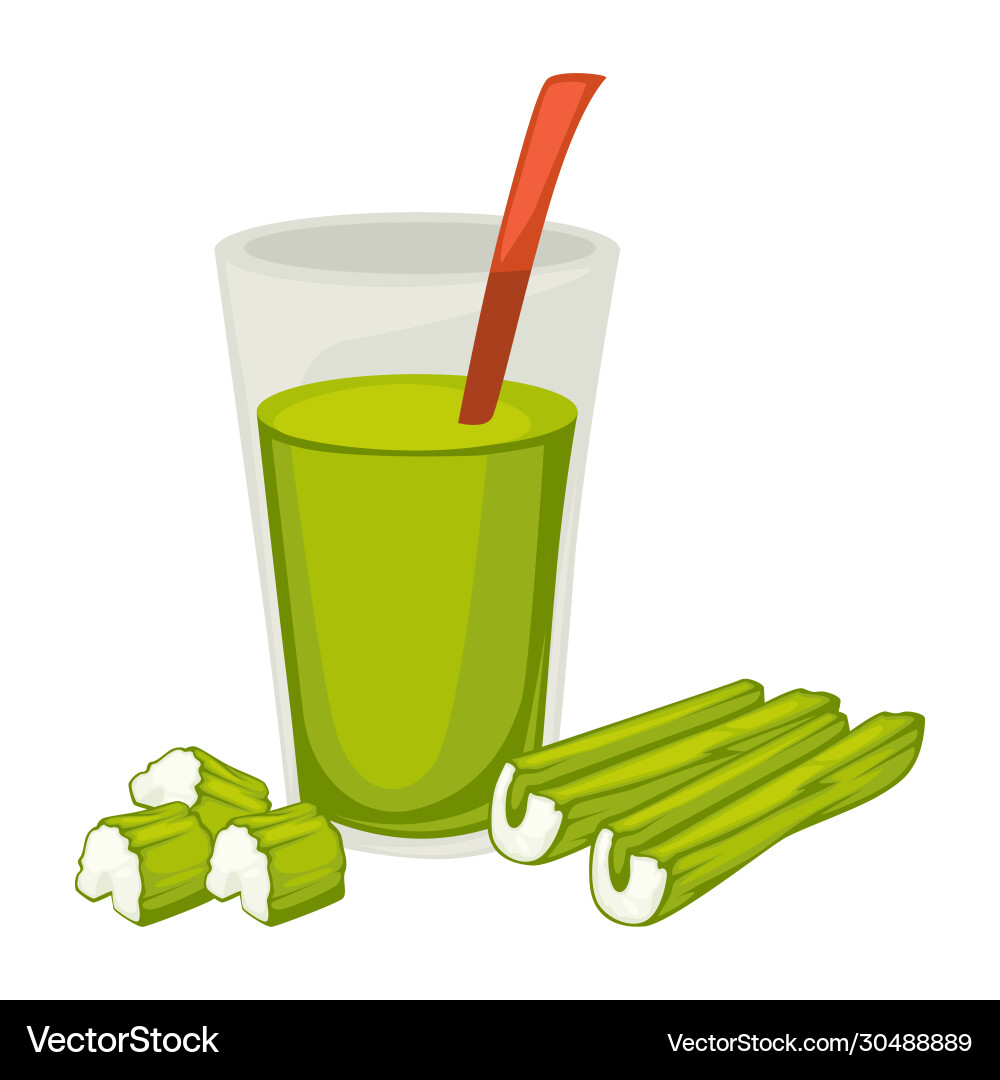 Smoothie made celery glass with useful Vector Image