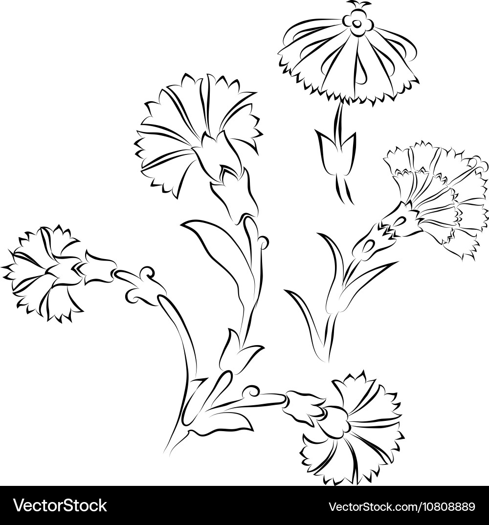 Turkish style digital floral drawing Vector Image