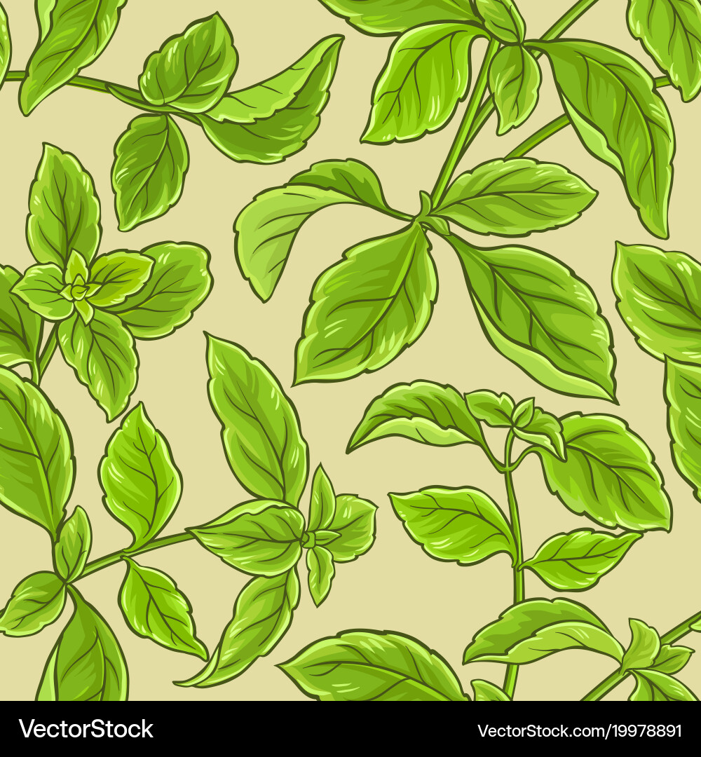 Basil Leaf Pattern Vector Image