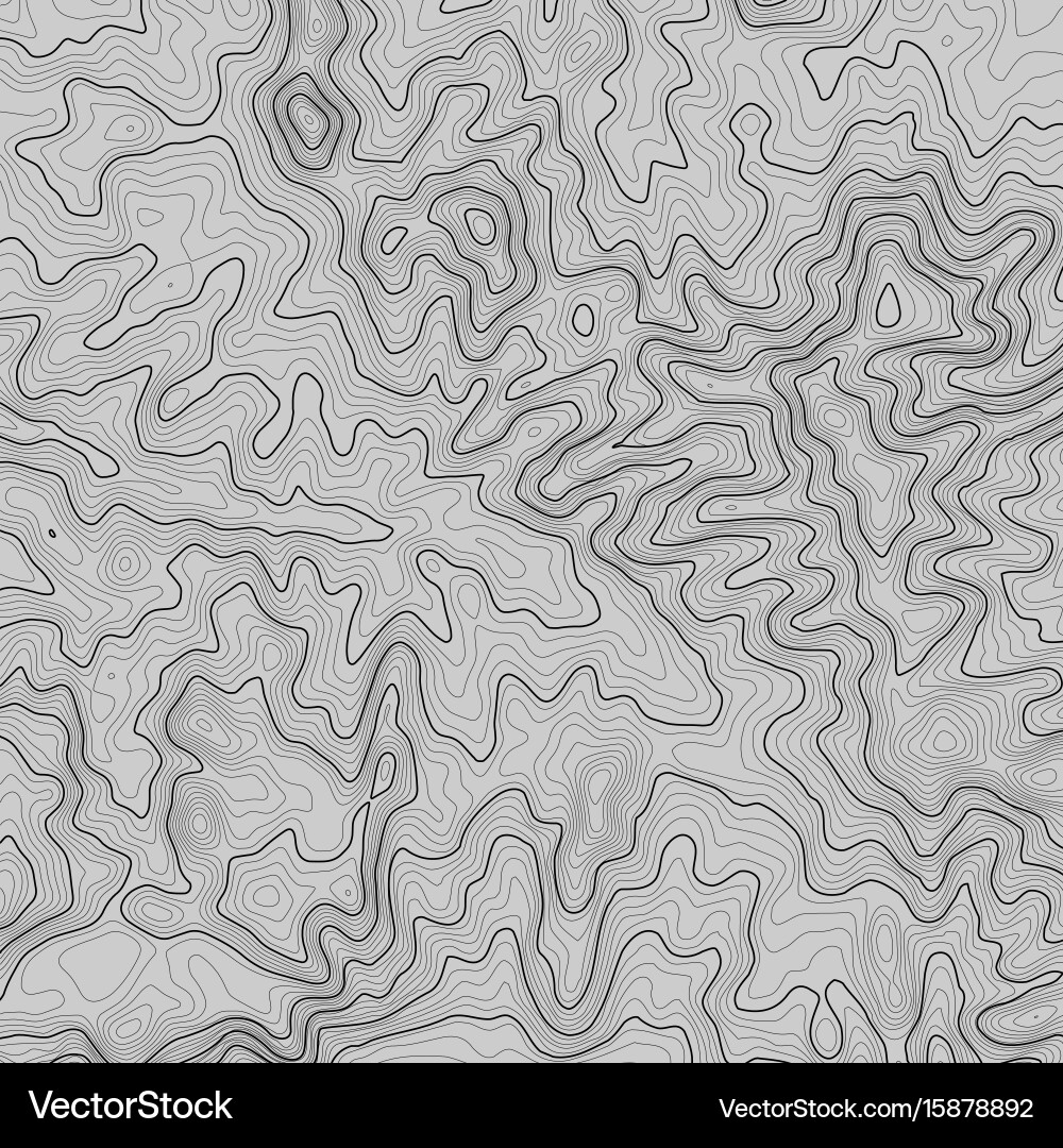 Topographic map background with space for copy Topographic map background with space for copy vector image