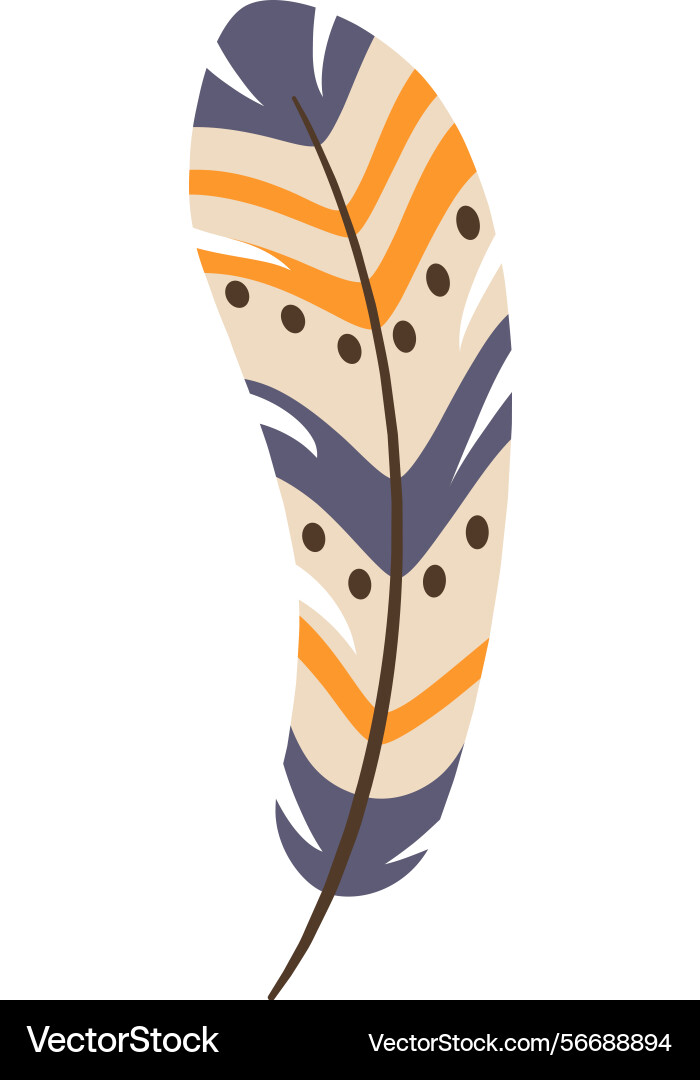 Featuring a light and elegant feather adorned Vector Image