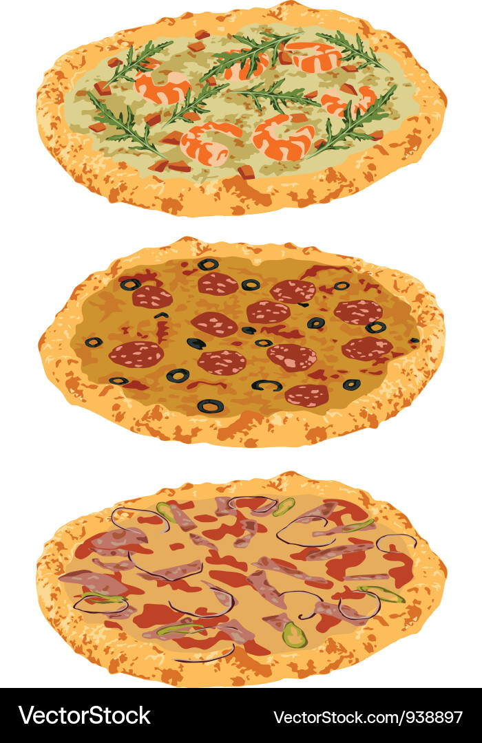 A set of different pizzas vector image