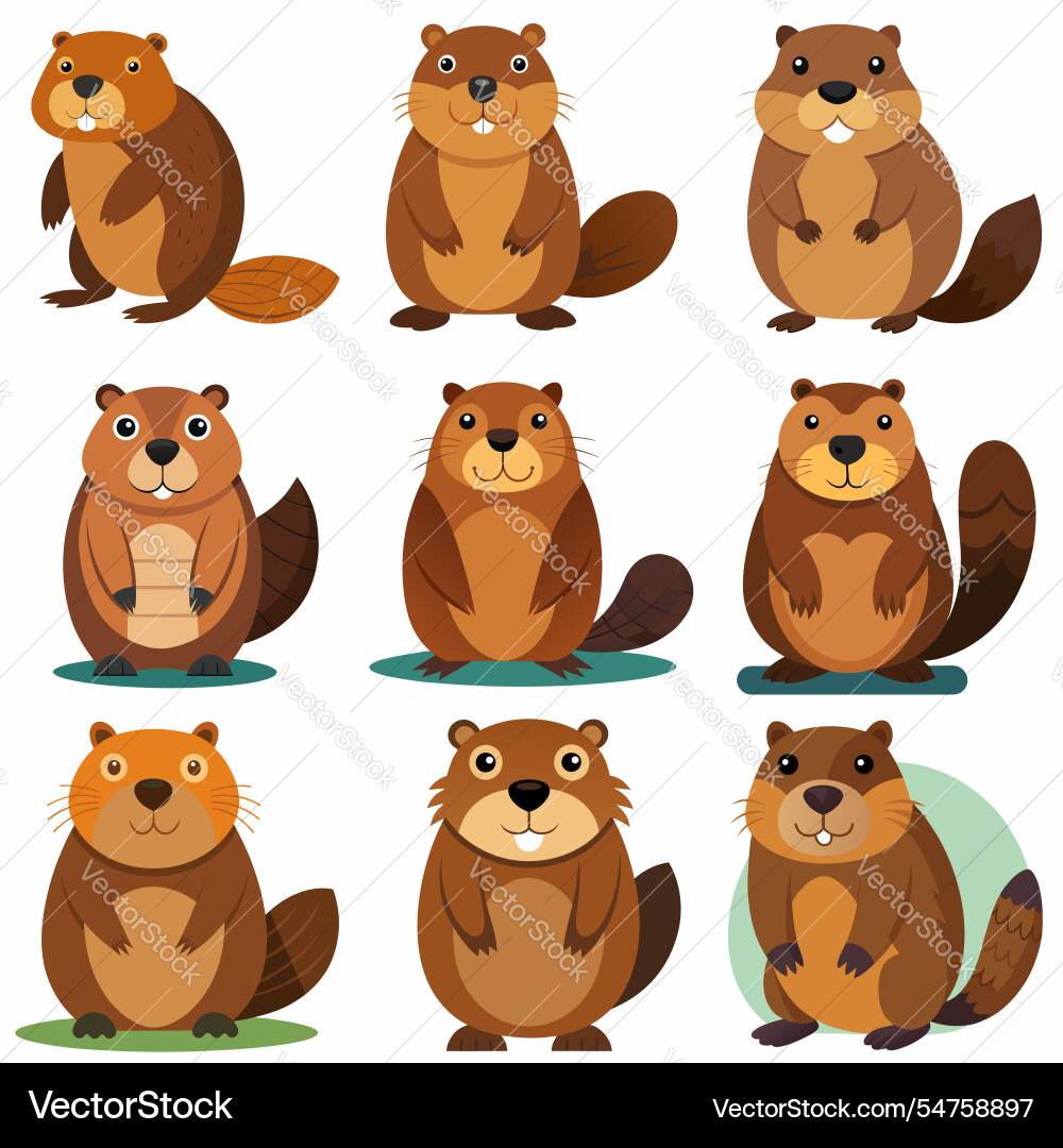 Funny beaver character in different actions big Funny beaver character in different actions big vector image