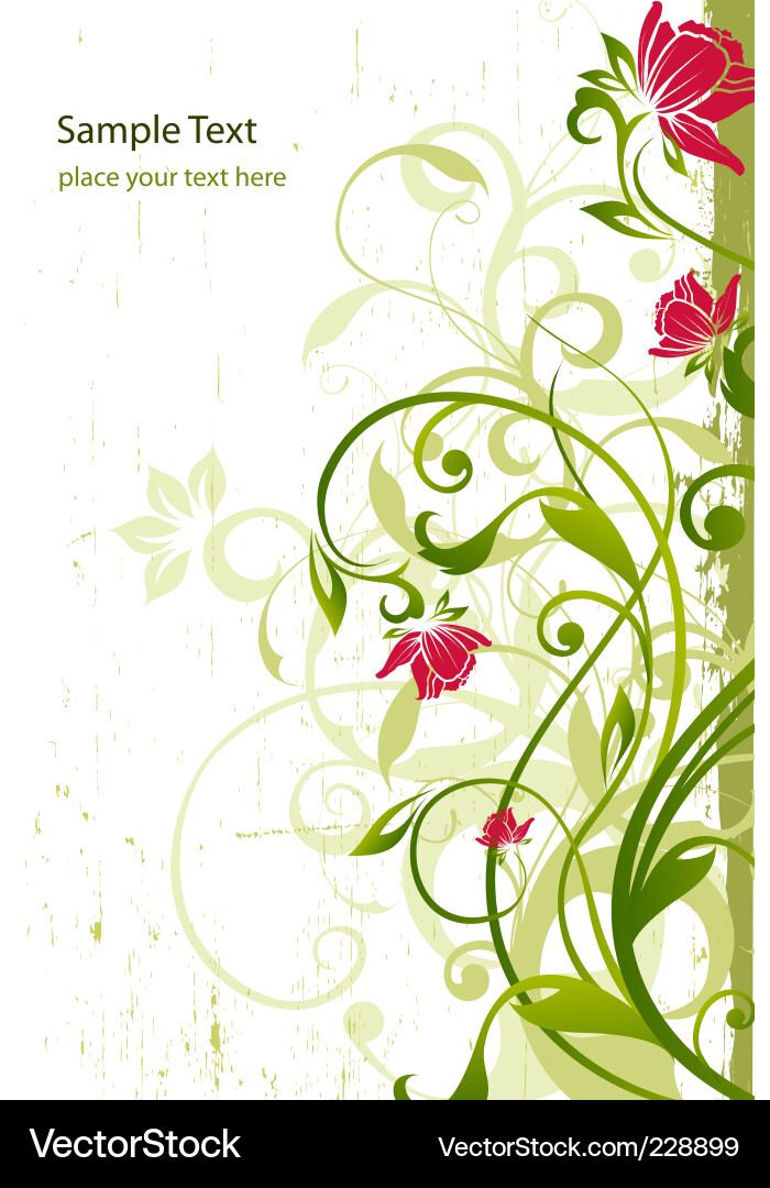 Floral border Royalty Free Vector Image - VectorStock