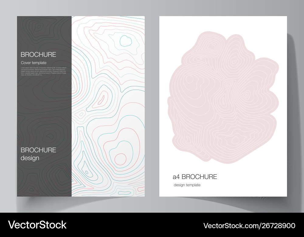 Editable layout a4 Editable layout a4 vector image