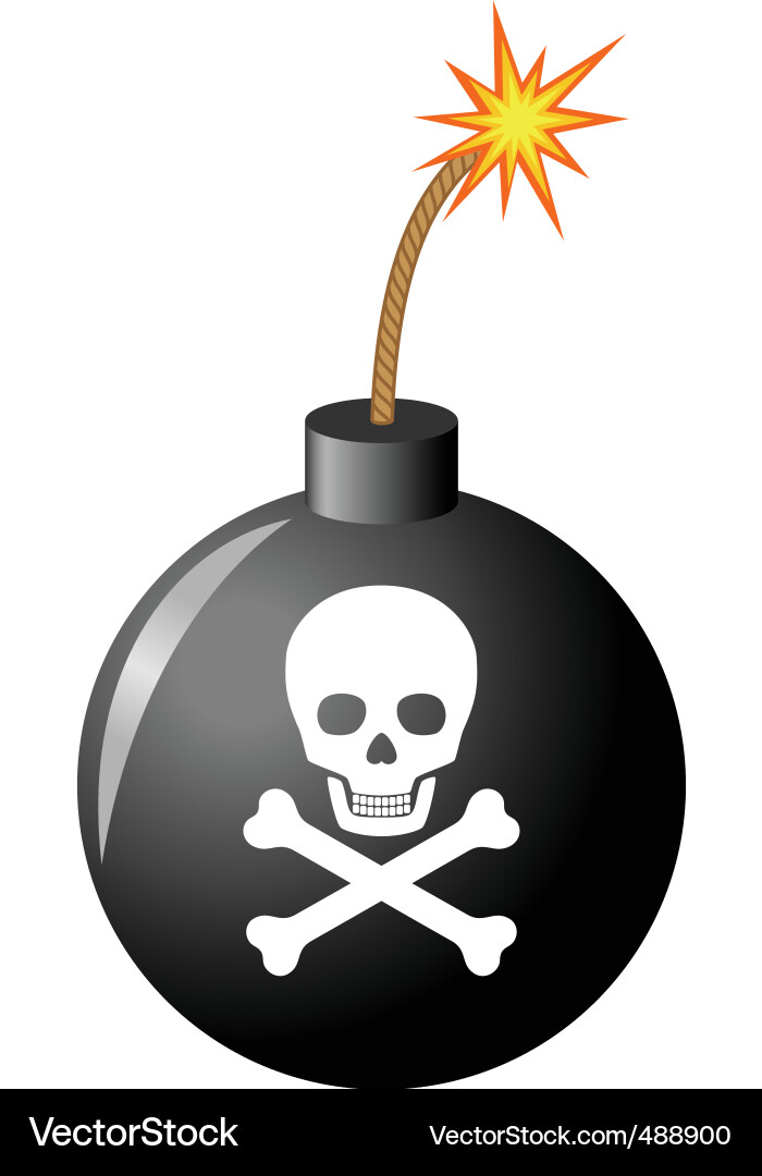 Exploding Bomb with Skull Vector Image