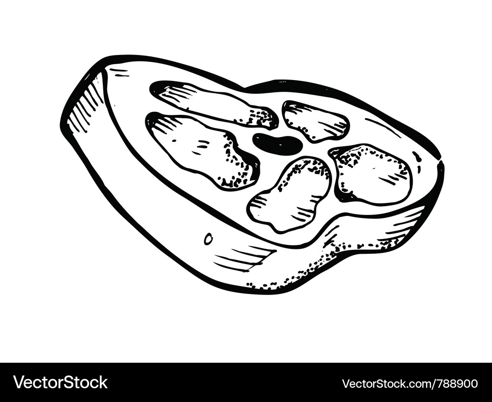 Raw meat Vector Image