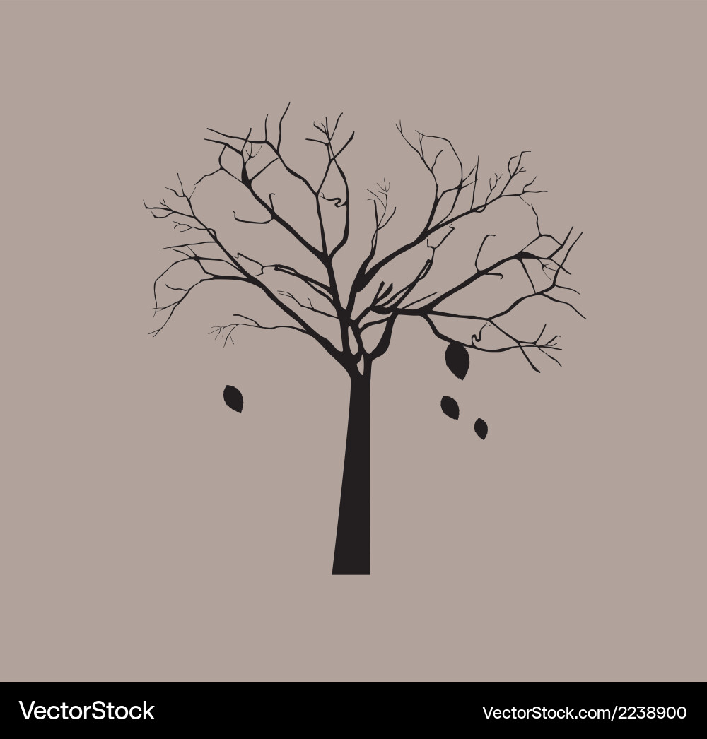 Tree without leaves over gray background vector image