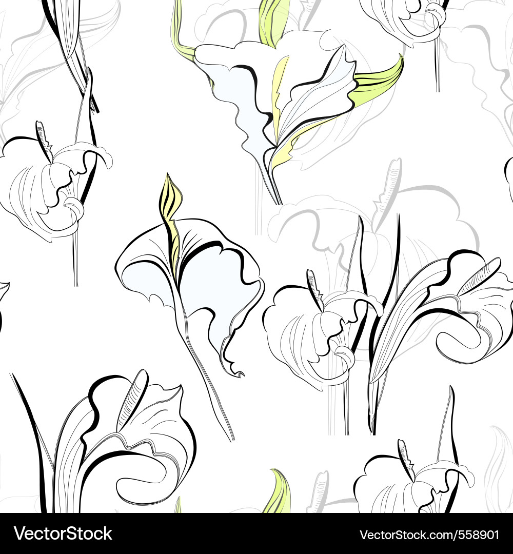 Elegant Calla Lily Seamless Background vector image