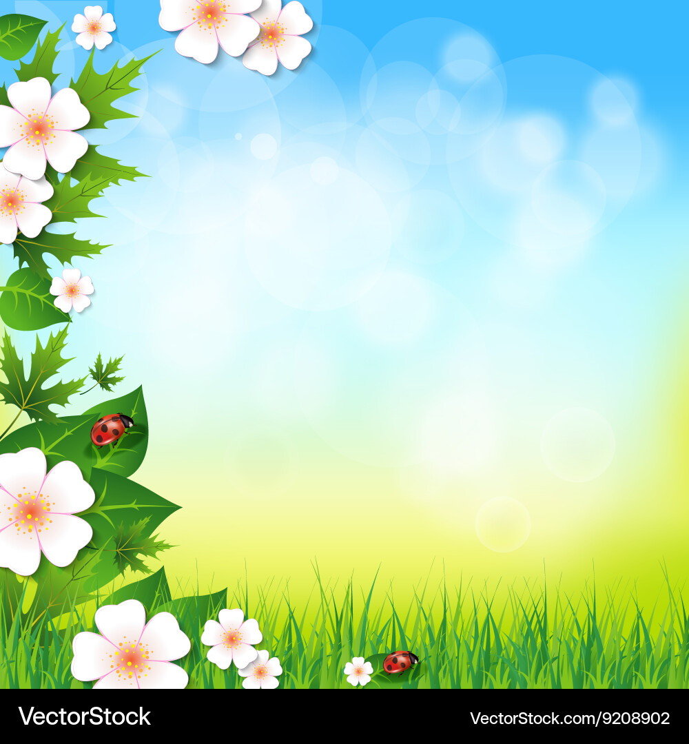 Spring or summer background with grass leaves Vector Image
