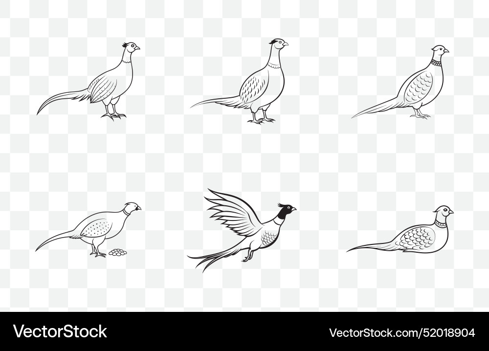 Print intricate pheasant line art set Print intricate pheasant line art set vector image
