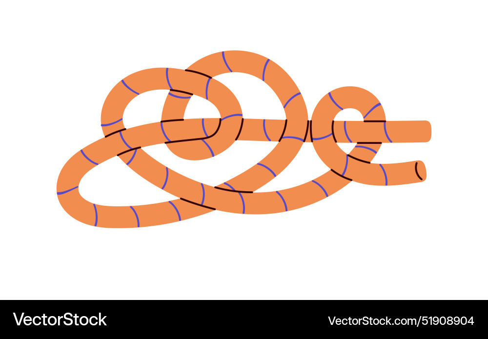 Tutorial of tying taut line hitch knot technique Tutorial of tying taut line hitch knot technique vector image