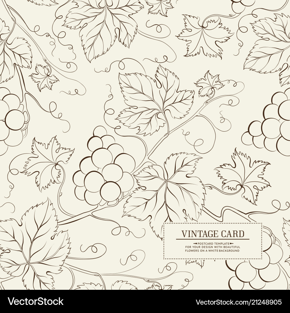 Label for a bottle of wine Label for a bottle of wine vector image