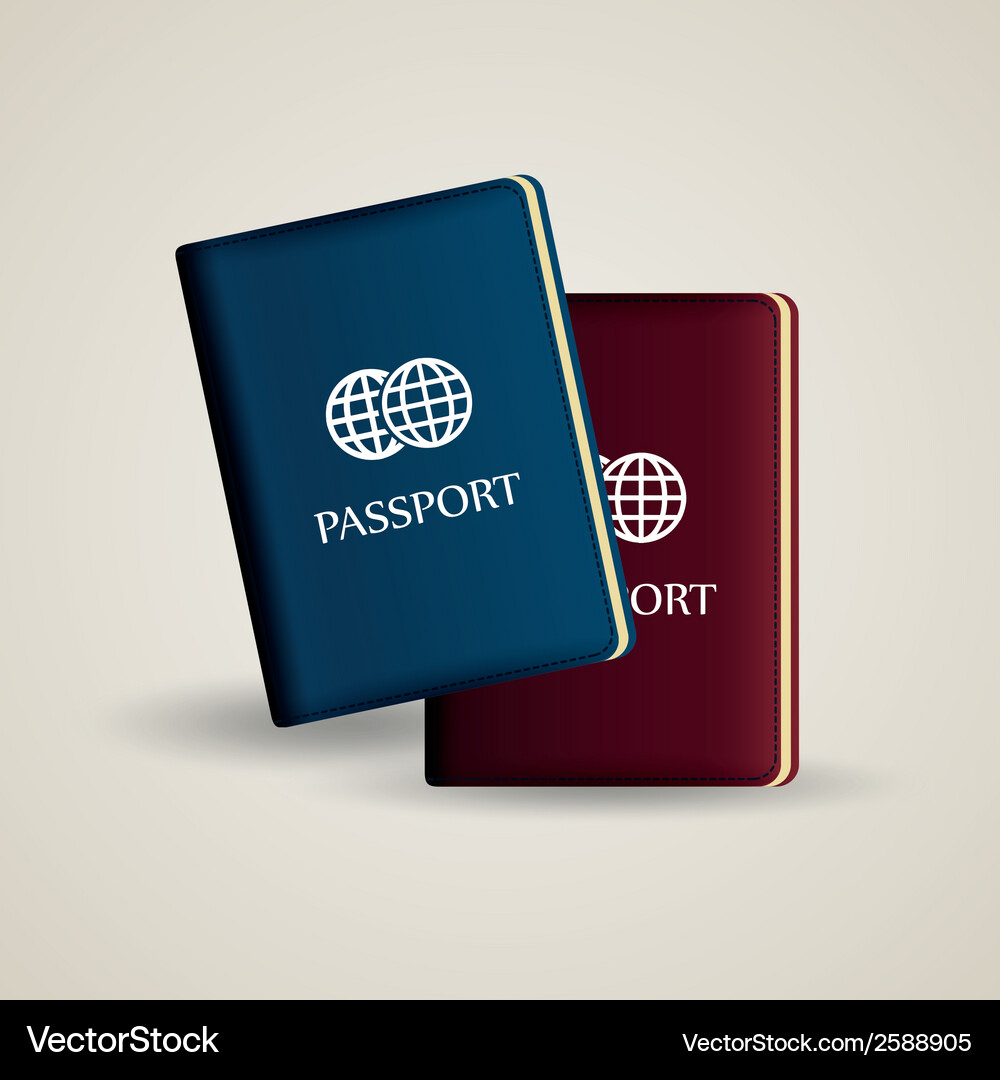 Two passport with different color on a white Vector Image
