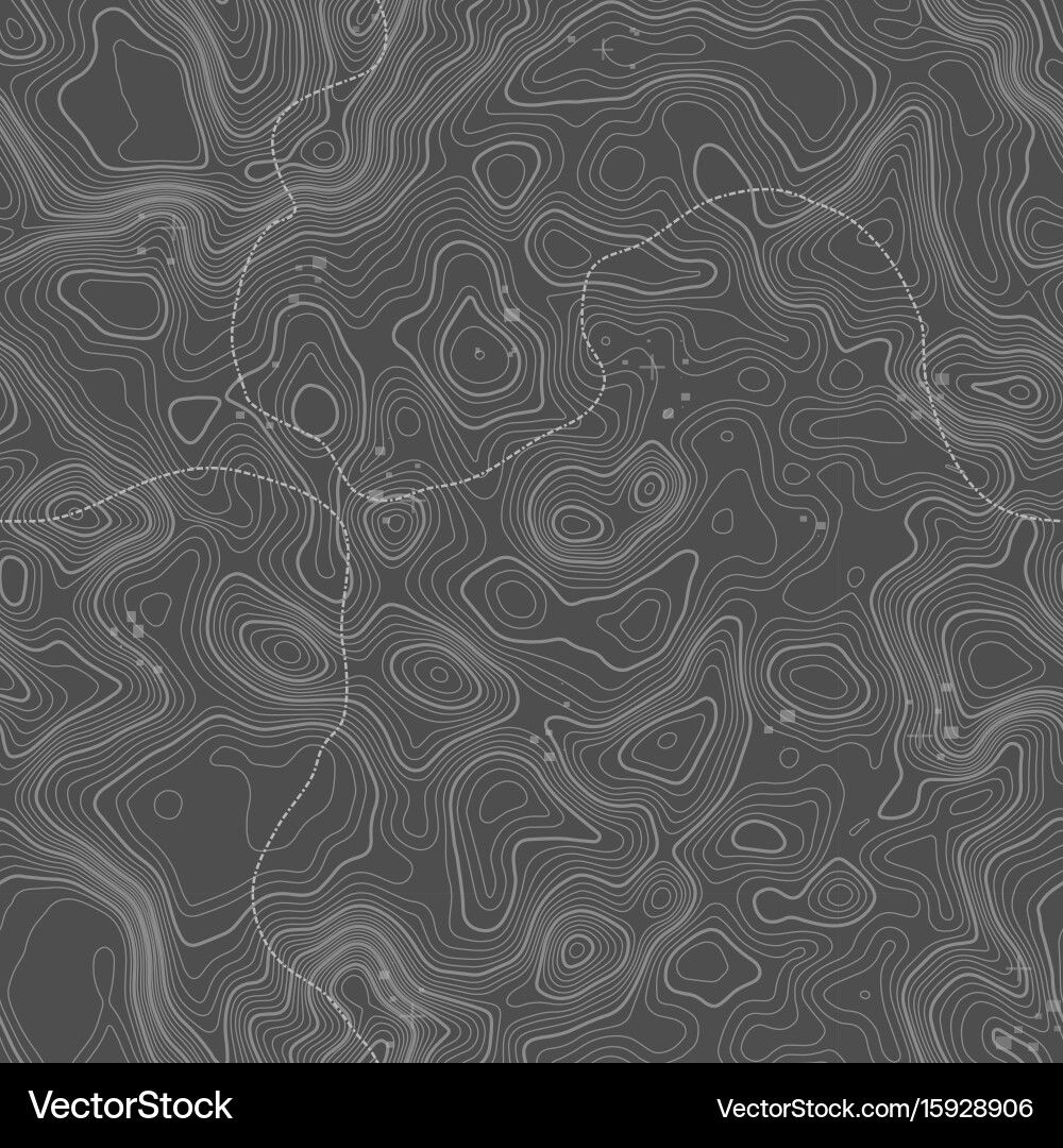 Seamless pattern topographic map background vector image