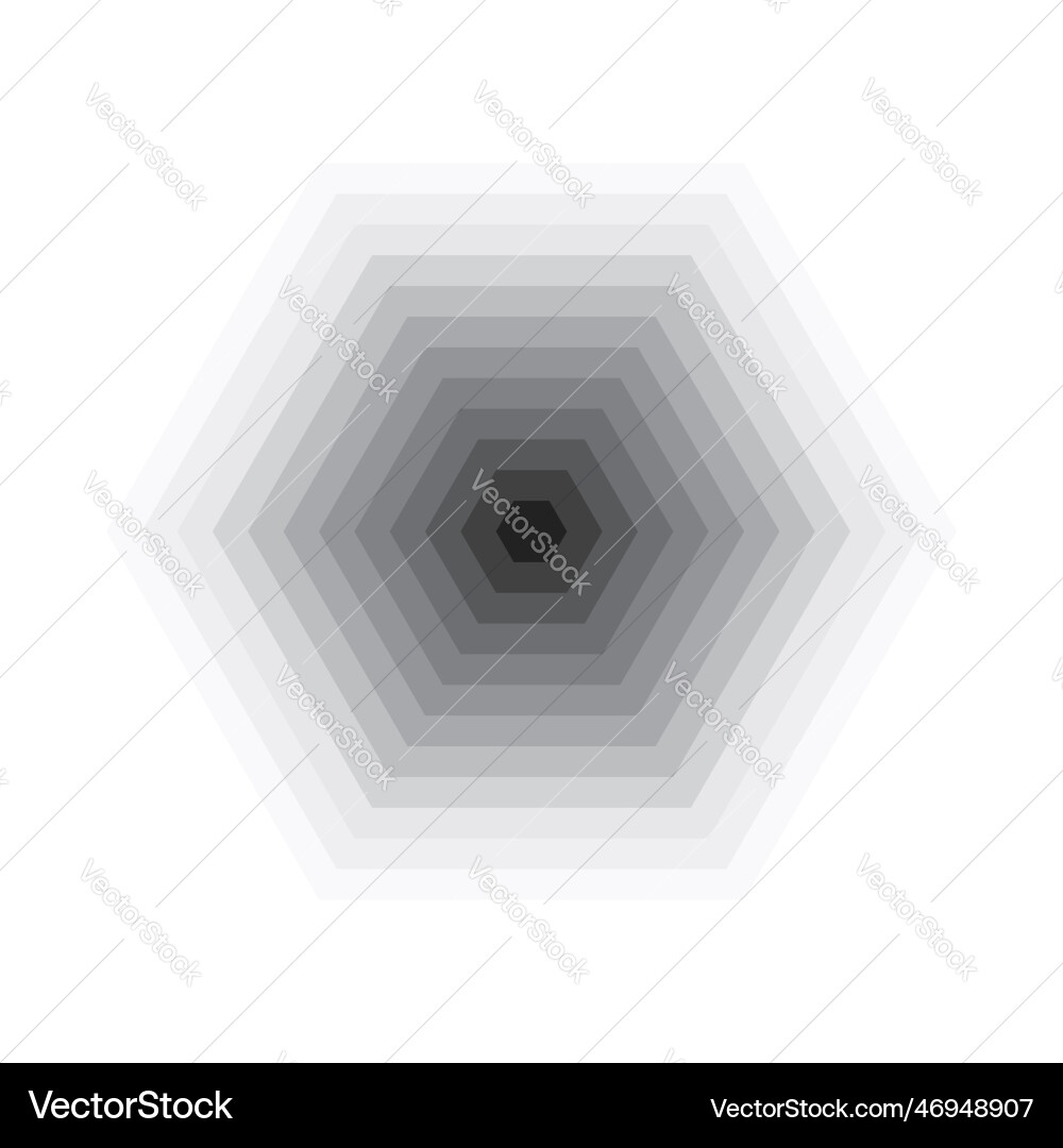 Hexagon monochrome vector image