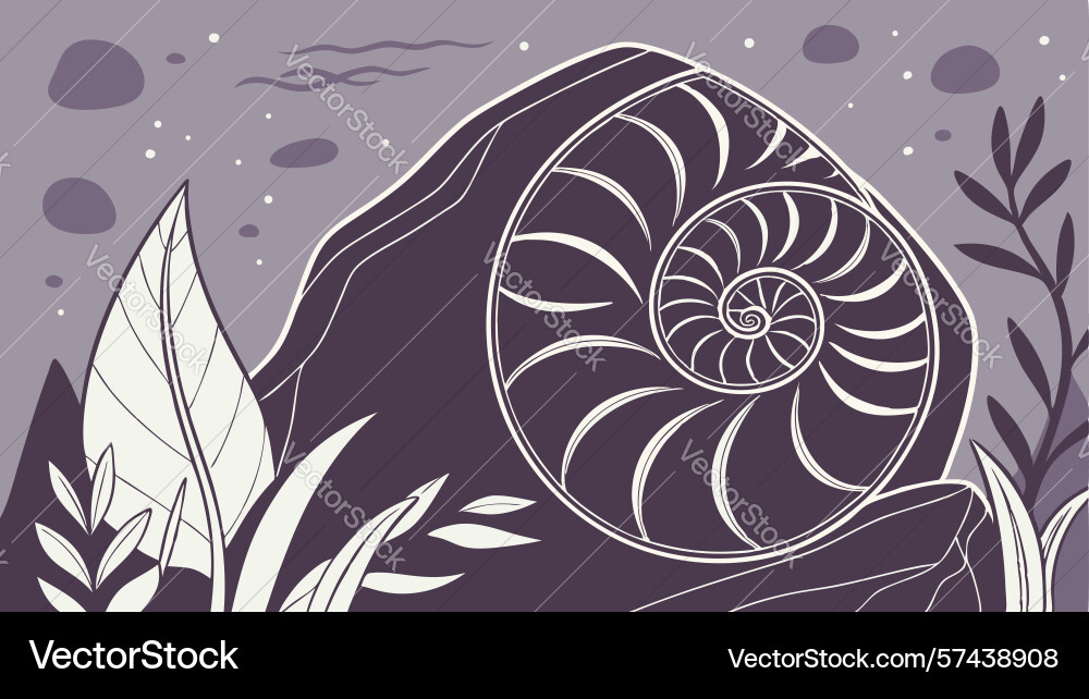 Nautilus shell in a dark abstract setting design vector image