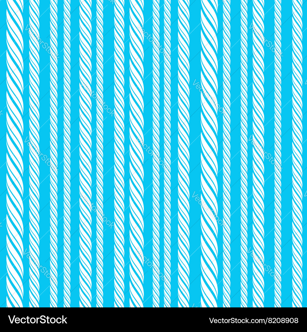 Rope Texture Pattern Vector Image