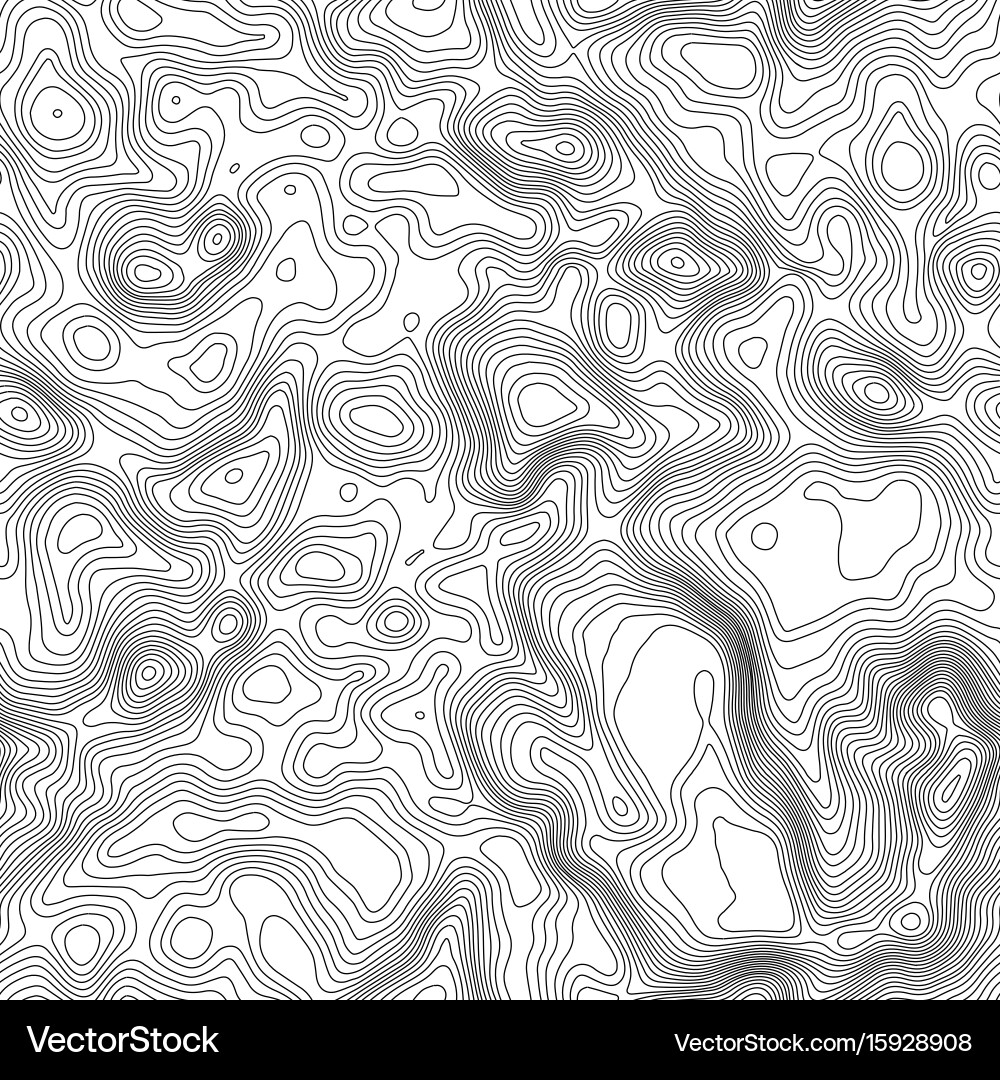 Seamless pattern topographic map background vector image