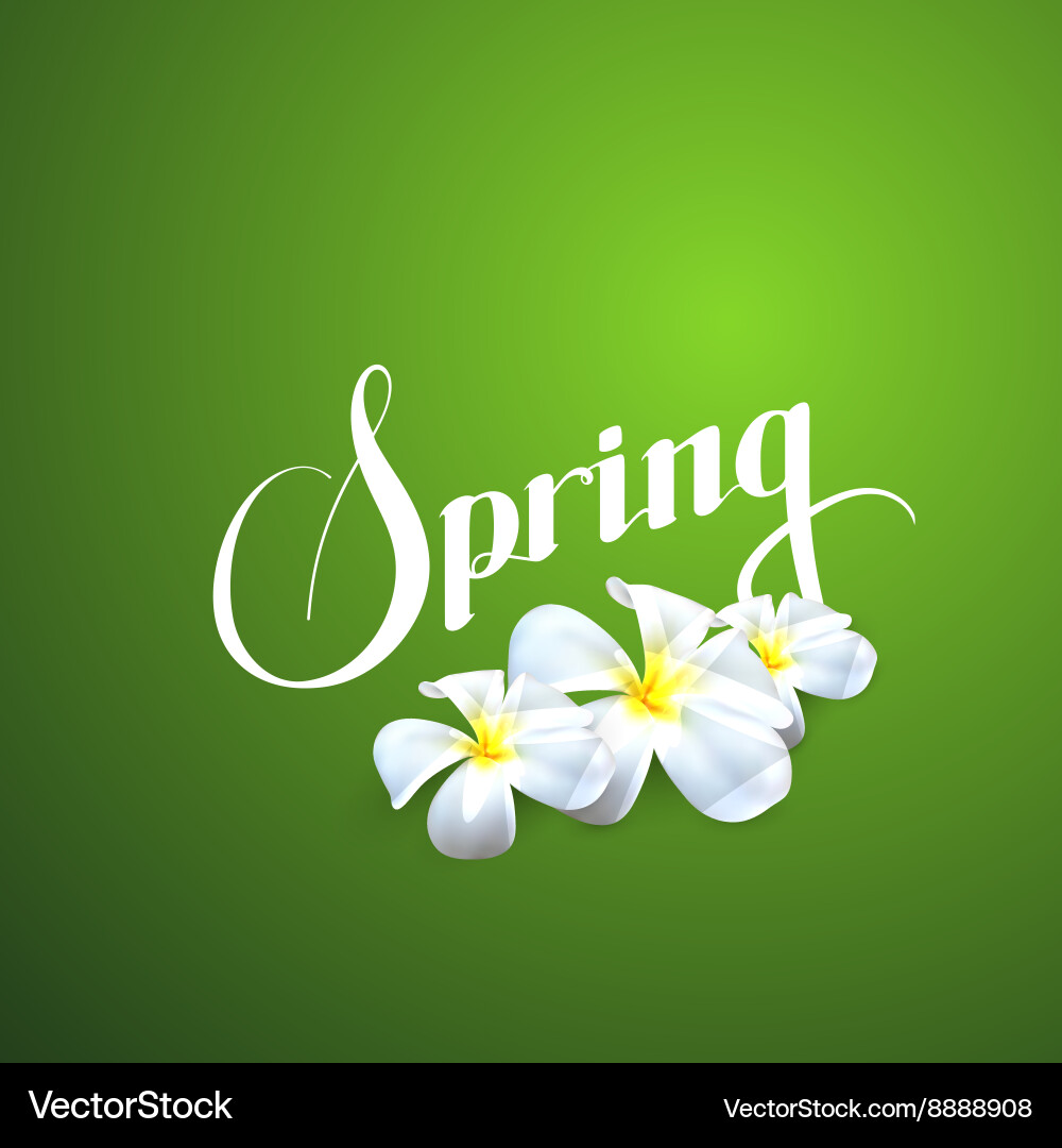 Spring Retro Label Vector Image