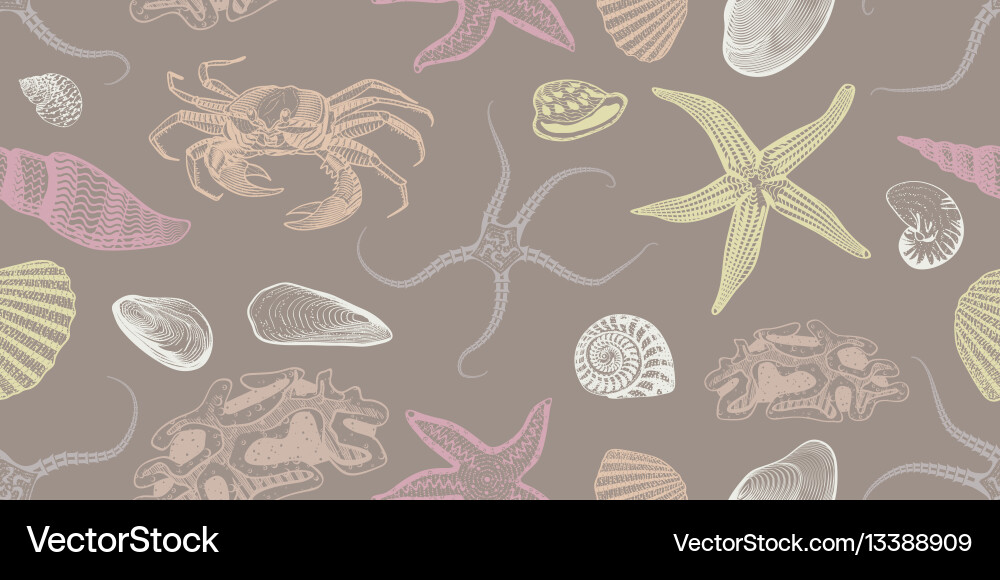 Underwater Seashell Pattern vector image