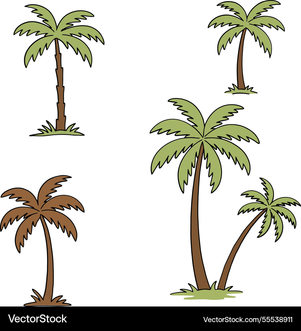 Four distinct palm trees with varying styles Vector Image