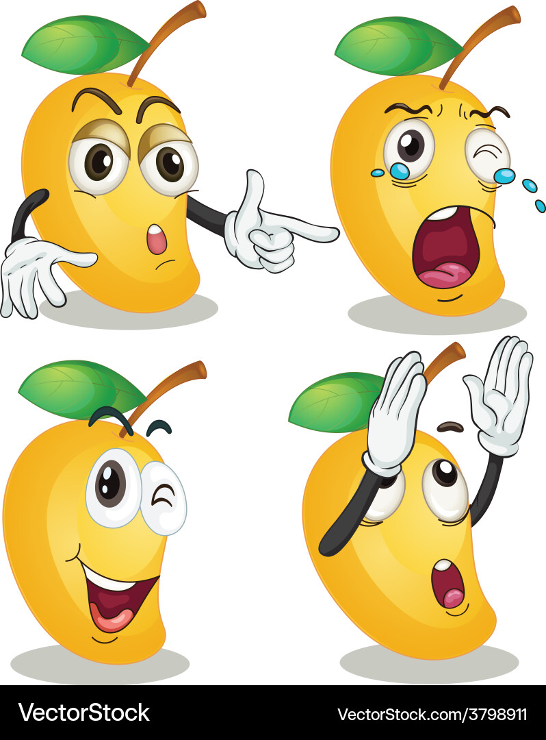 Mango Royalty Free Vector Image - VectorStock
