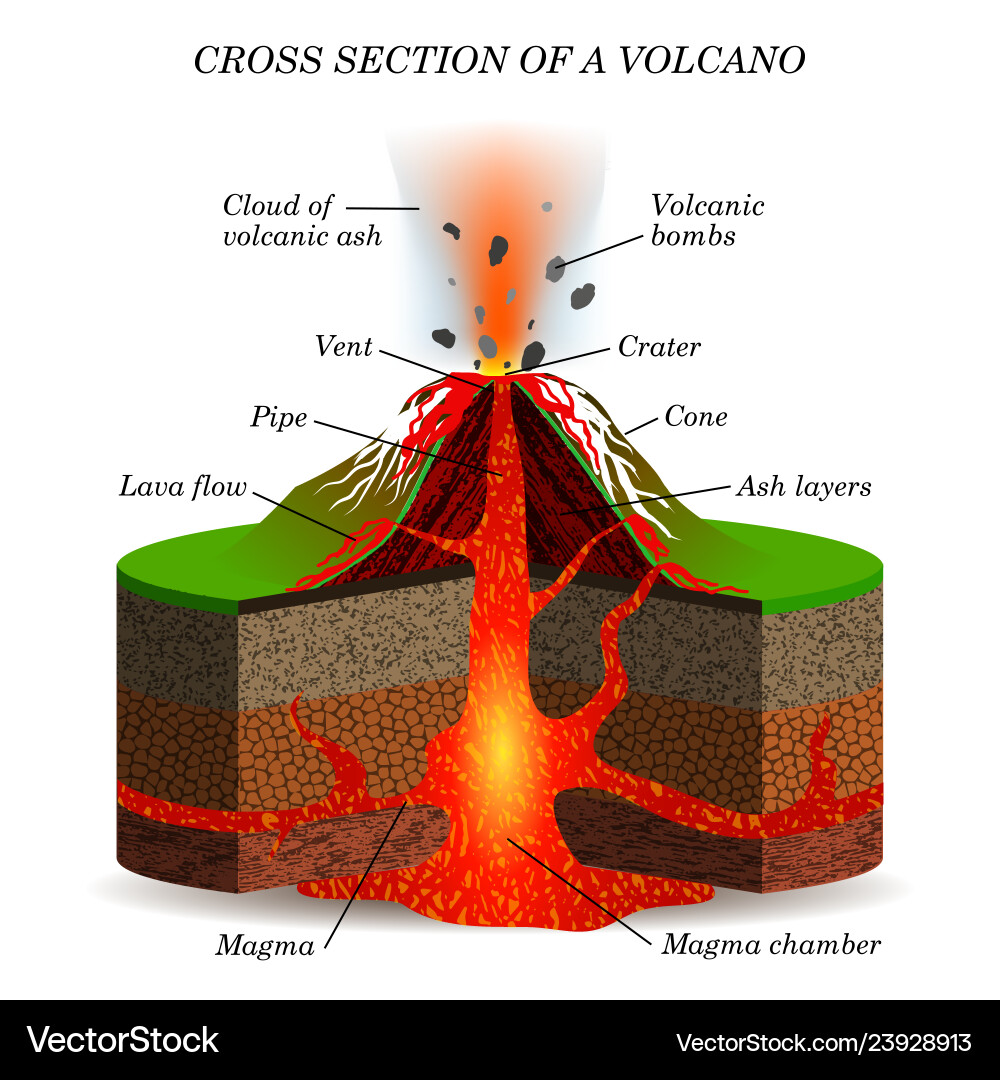 Volcano igneous eruption in the cross section Vector Image