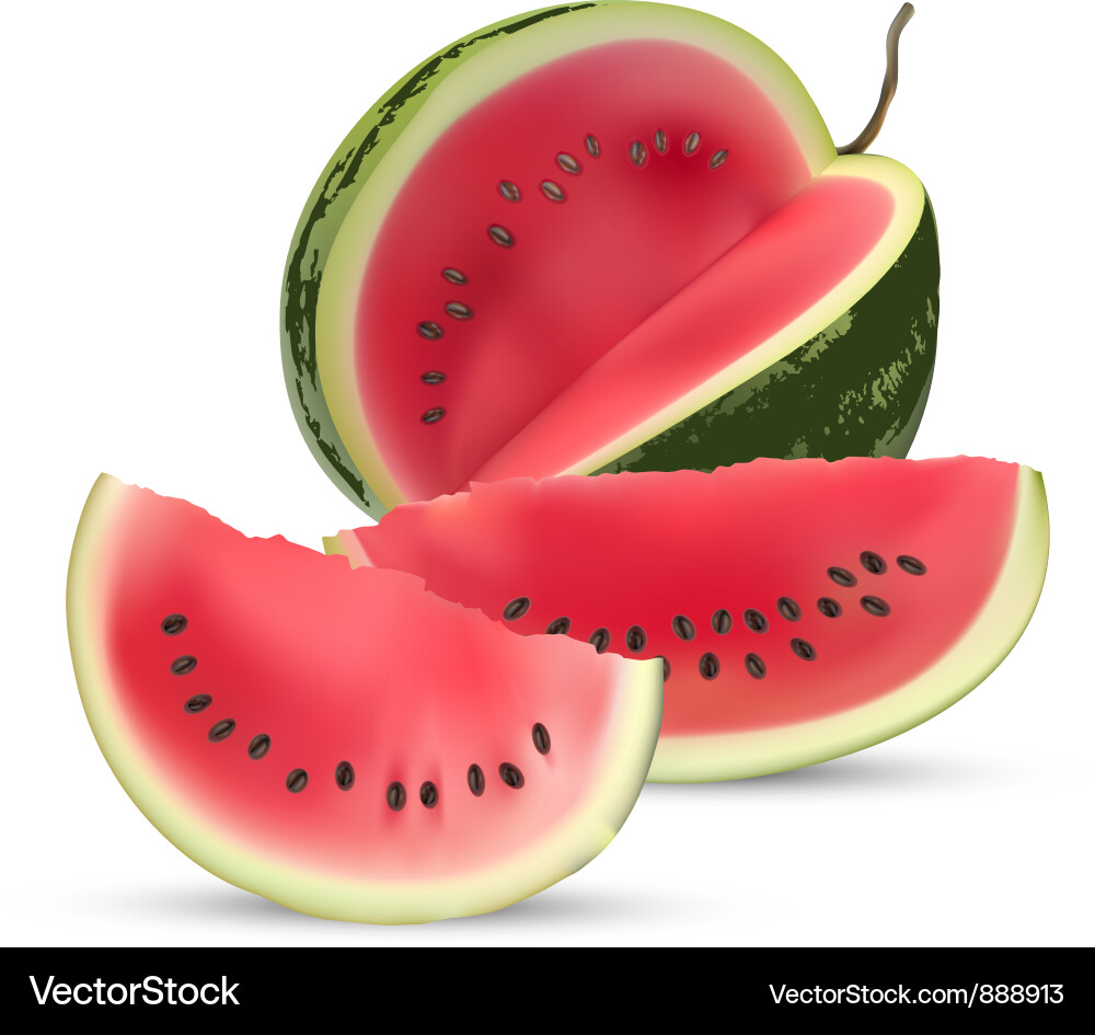 Watermelon Slice on White Vector Image