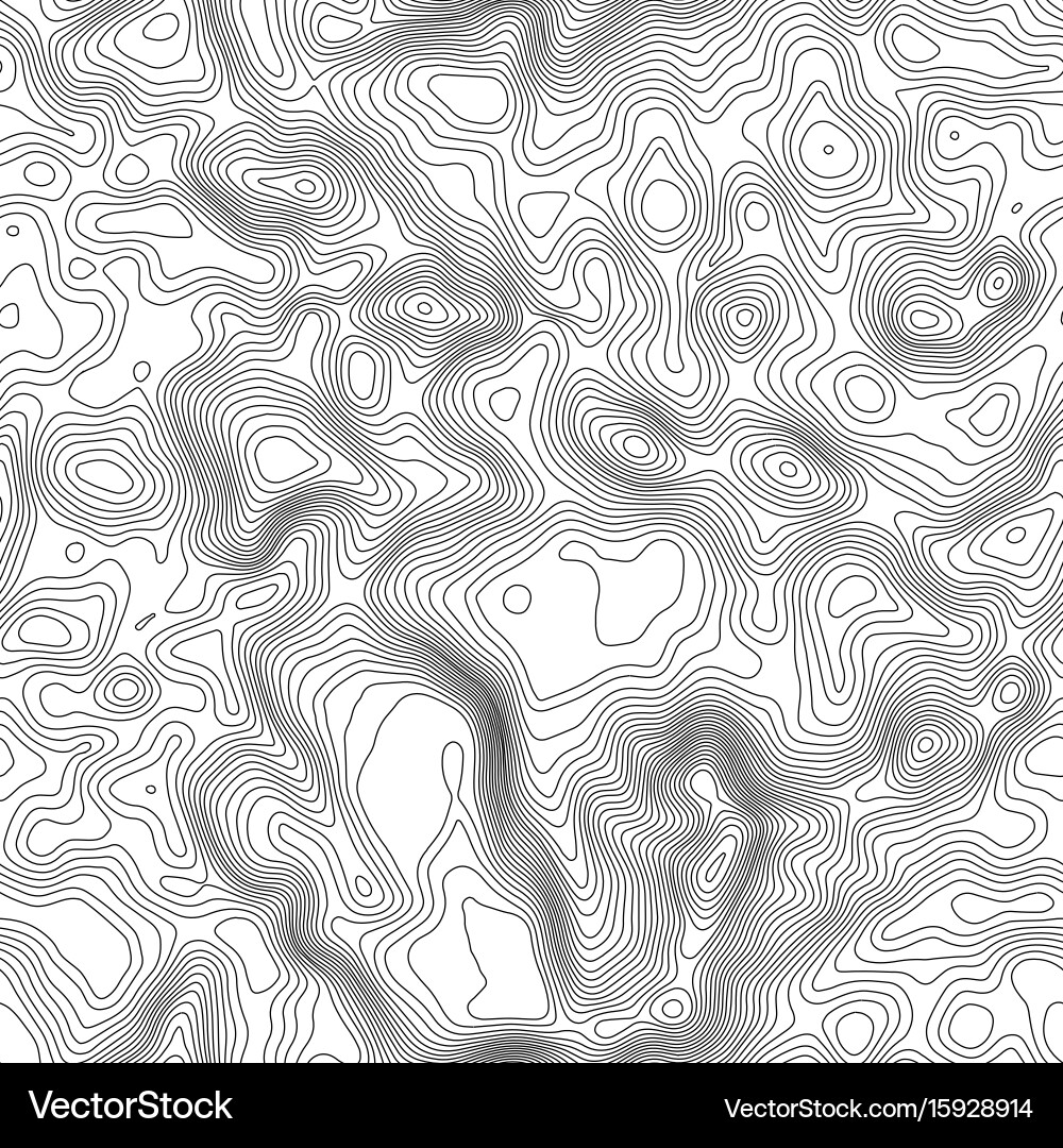 Seamless pattern topographic map background vector image