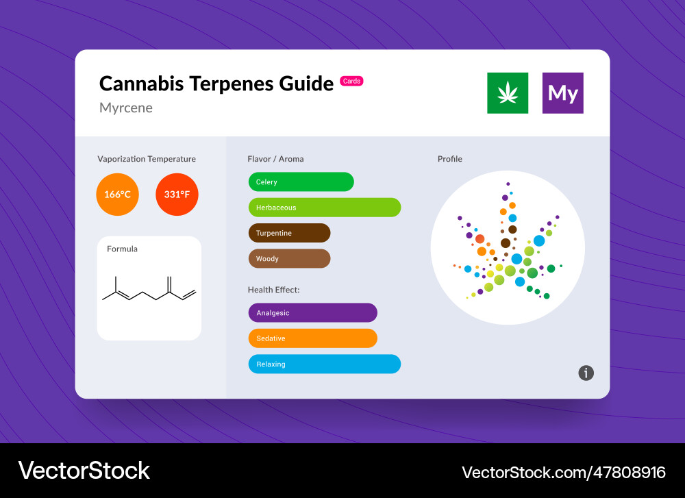 Ui Cannabis terpen Führer Informationen Diagramm Aroma Ui Cannabis terpen Führer Informationen Diagramm Aroma vektorbild