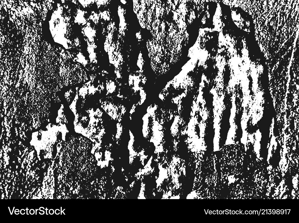 Black grainy texture isolated on white Black grainy texture isolated on white Vector Image