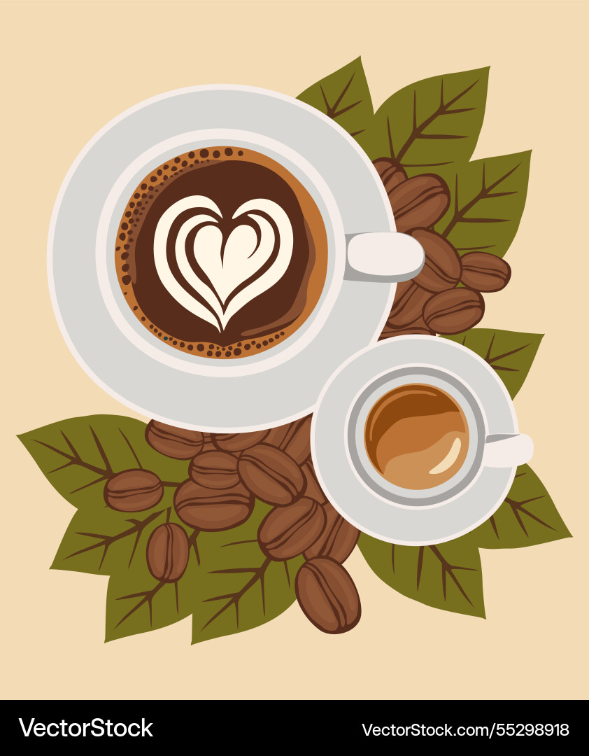 Two coffee cups espresso cappuccino top view Two coffee cups espresso cappuccino top view vector image
