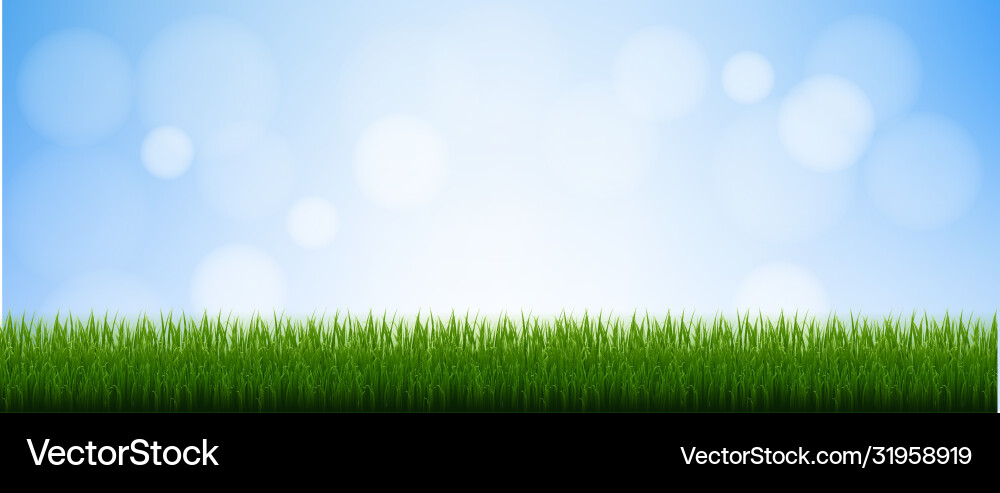 Green grass isolated blue background Green grass isolated blue background vector image