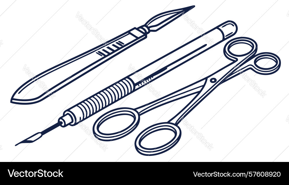 Essential surgical instruments scalpel scissors Vector Image