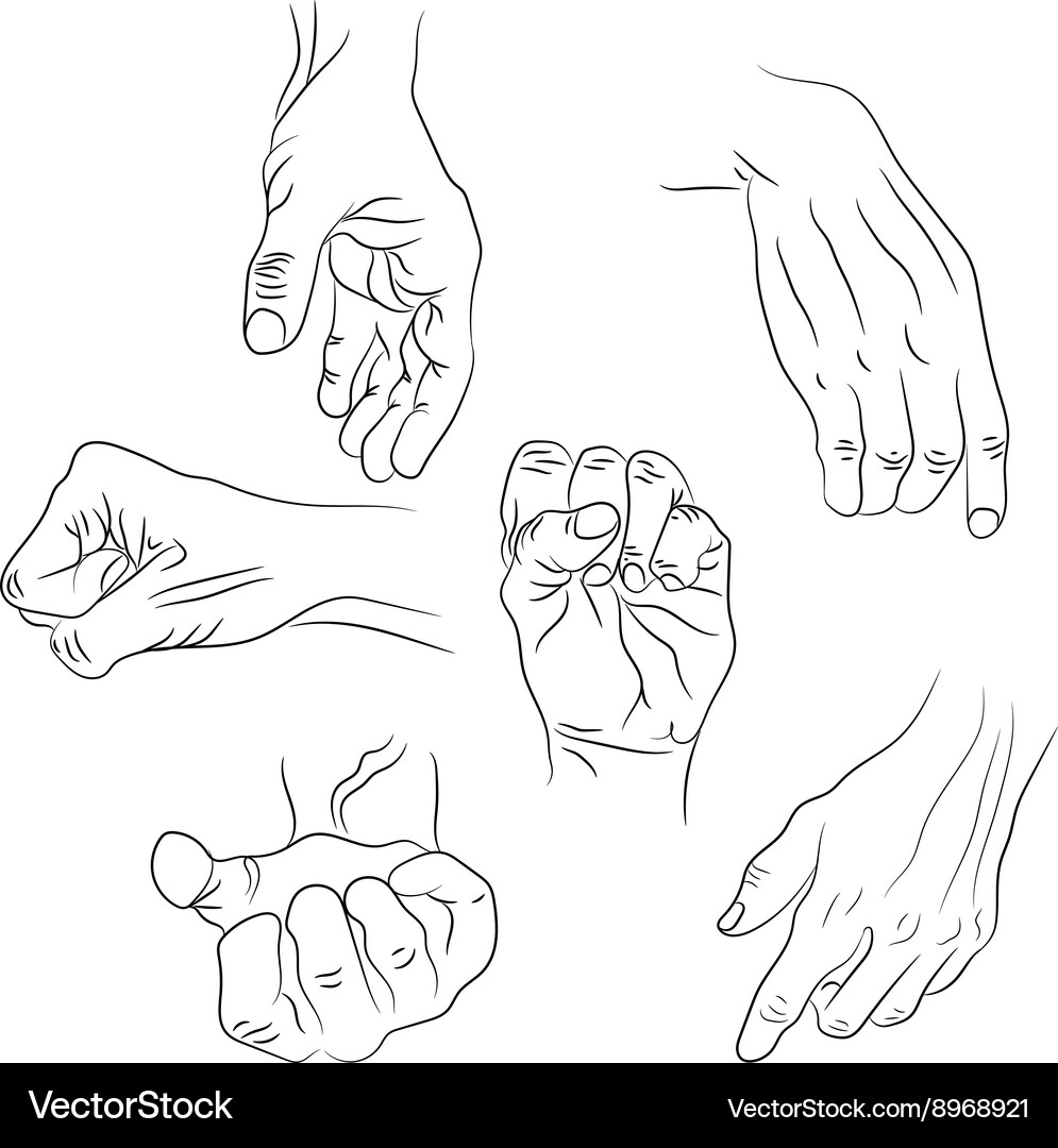Hands in different interpretations Vector Image