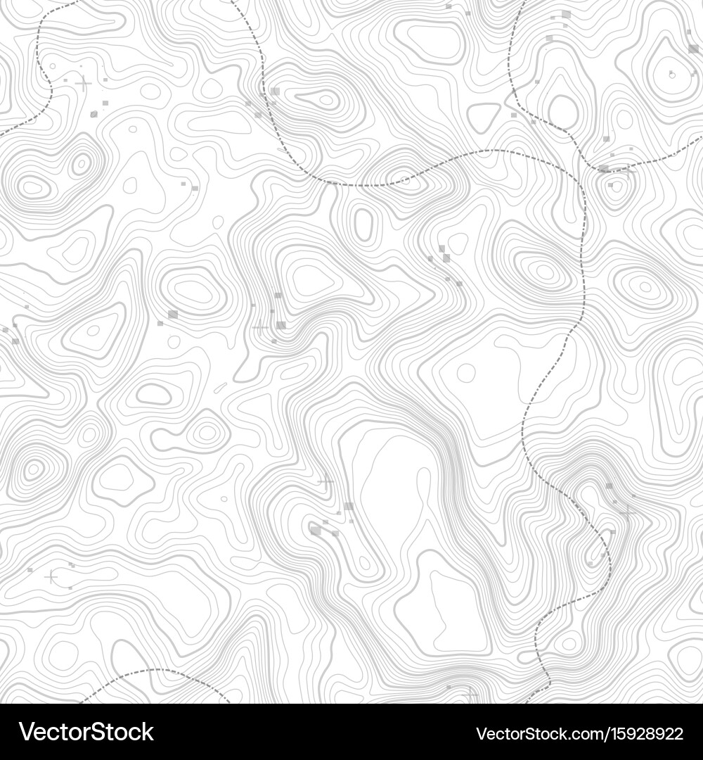 Topographic Map Seamless Pattern vector image